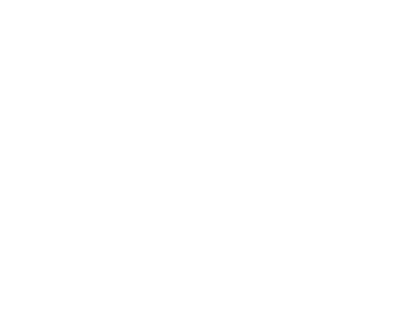 fricon
